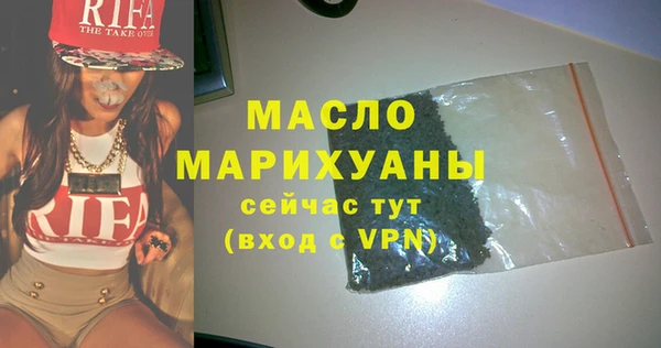 индика Верхний Тагил