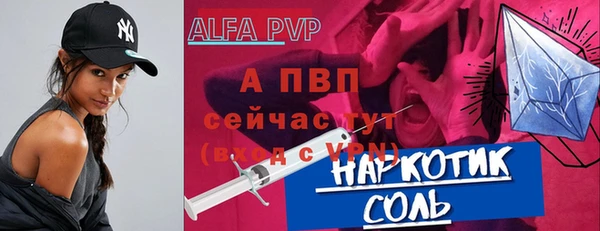 индика Верхний Тагил
