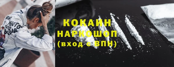 индика Верхний Тагил