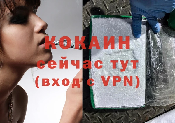 индика Верхний Тагил