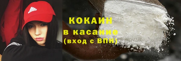индика Верхний Тагил