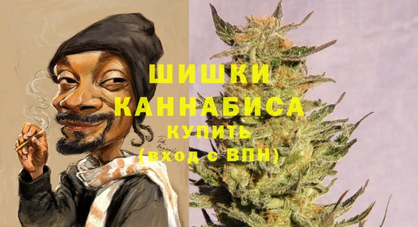 индика Верхний Тагил