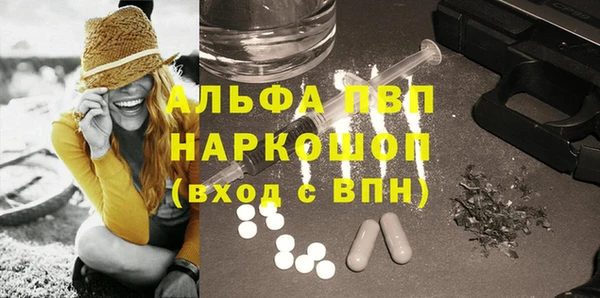 индика Верхний Тагил