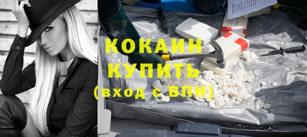 индика Верхний Тагил