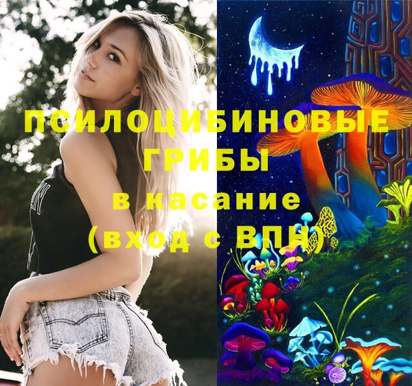 индика Верхний Тагил