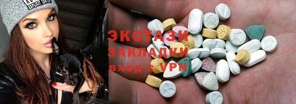 индика Верхний Тагил