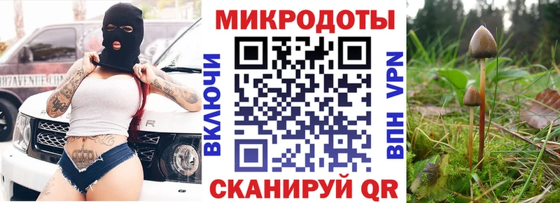 Купить где  Николаевск-на-Амуре  Галлюциногенные грибы мухоморы 